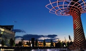 Albero della vita Milano