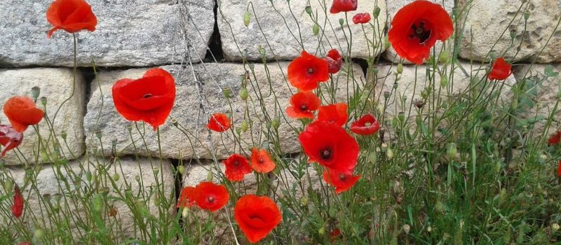 festa del 25 aprile in italia